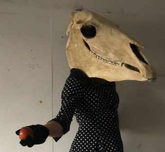 The Horse Mask