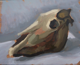 Pony skull sketch £70