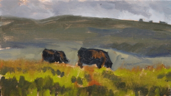 Cows near Kes Tor, Dartmoor, 10x15cm, £150