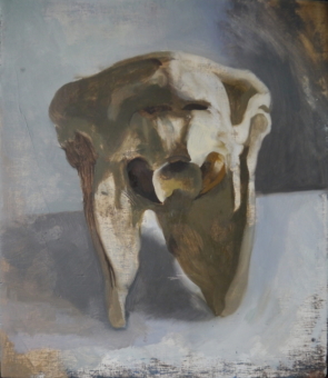 Drtmoor Pony skull 3 £200